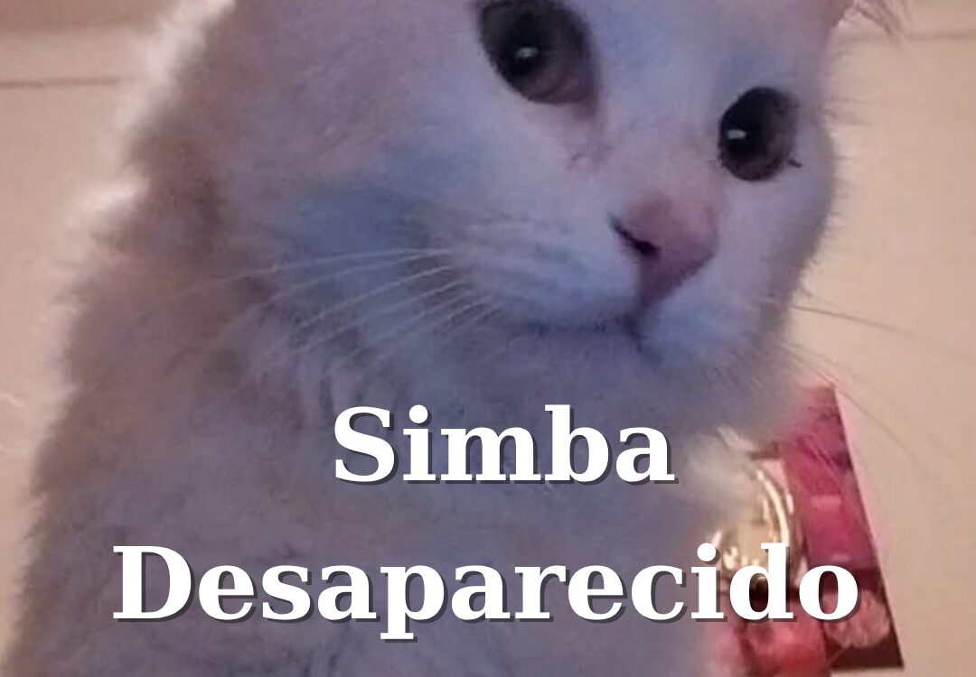 Desaparecido em Castelo Branco