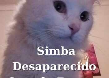 Desaparecido em Castelo Branco