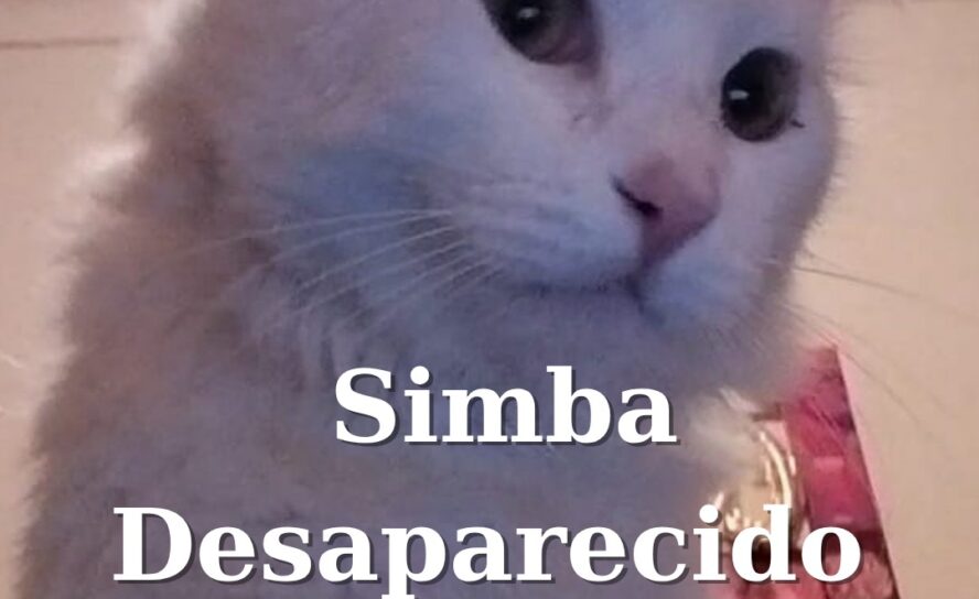 Desaparecido em Castelo Branco
