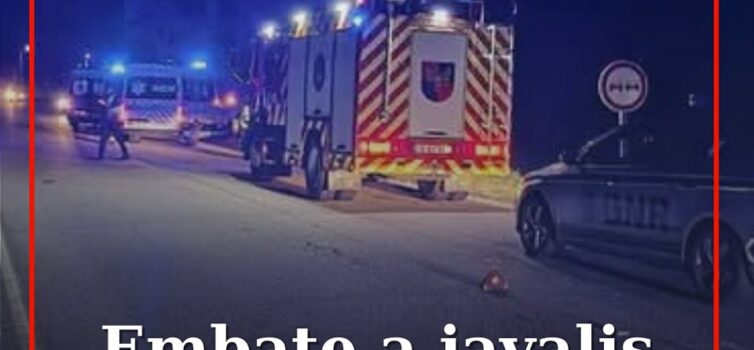 Despiste após embate contra três javalis causa ferido