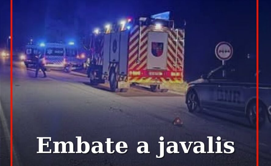 Despiste após embate contra três javalis causa ferido