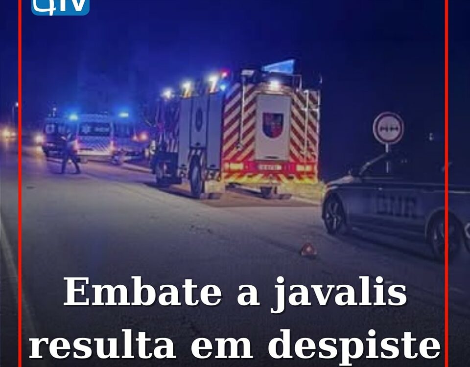 Despiste após embate contra três javalis causa ferido