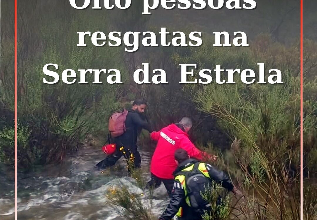 Grupo de pessoas e um cão resgatados com sucesso na Serra da Estrela