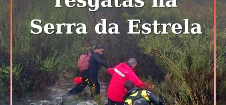 Grupo de pessoas e um cão resgatados com sucesso na Serra da Estrela