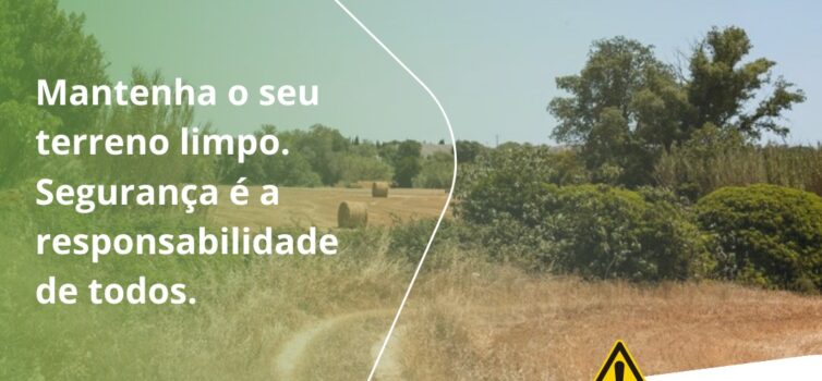 Limpeza de terrenos: prazo termina a 31 de maio