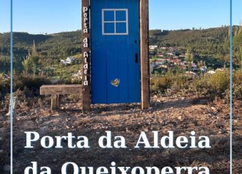 Mação
