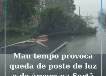 Mau tempo causa queda de poste da luz e árvore na Sertã