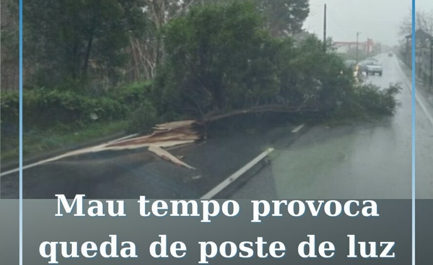 Mau tempo causa queda de poste da luz e árvore na Sertã