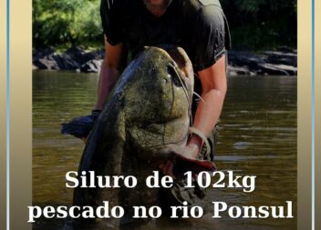 Siluro com cerca de 2 metros e 100kg pescado no Rio Ponsul em Castelo Branco