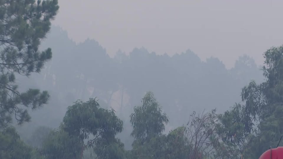 EM DIRETO: BEIRA BAIXA TV