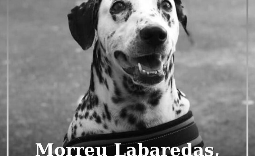 Bombeiros despedem-se de Labaredas