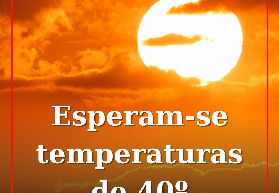 Castelo Branco em risco máximo de incêndio devido ao calor extremo