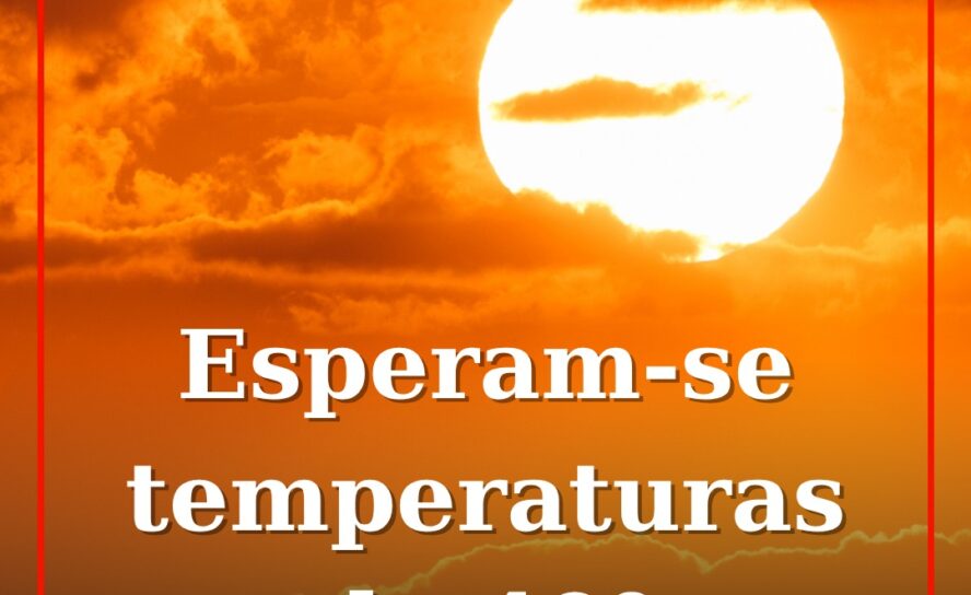 Castelo Branco em risco máximo de incêndio devido ao calor extremo