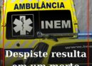 Despiste resulta em um morte