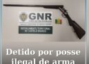 Detido por posse ilegal de arma
