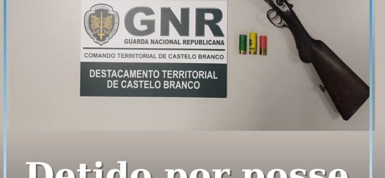 Detido por posse ilegal de arma