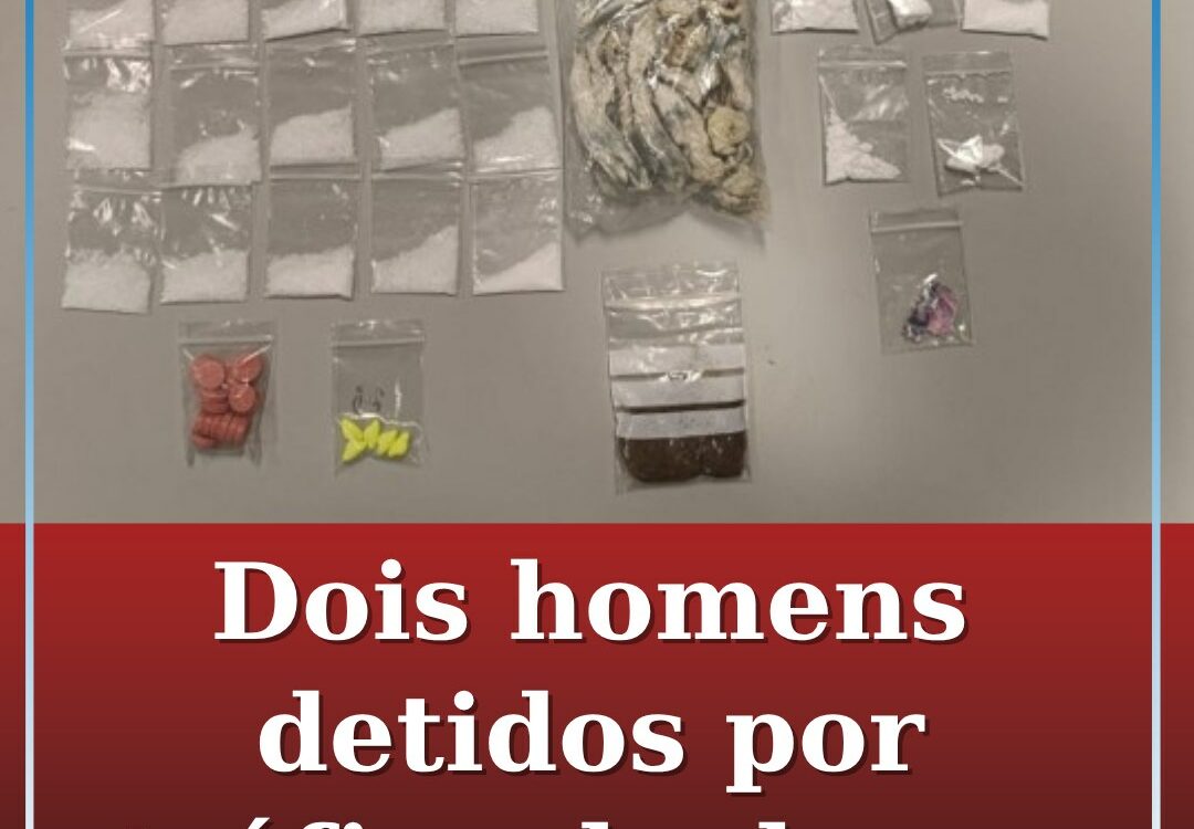 Detidos por tráfico de droga: mais de 200 doses apreendidas