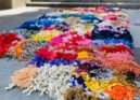 Festival WOOL regressa à Covilhã com arte urbana, música e cinema