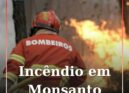 Incêndio deflagra em zona de mato em Monsanto