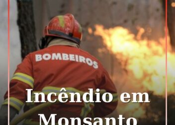 Incêndio deflagra em zona de mato em Monsanto