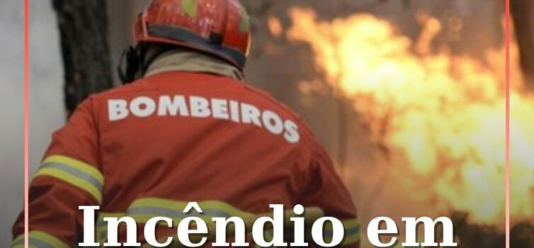 Incêndio deflagra em zona de mato em Monsanto