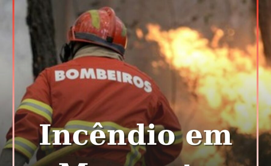 Incêndio deflagra em zona de mato em Monsanto