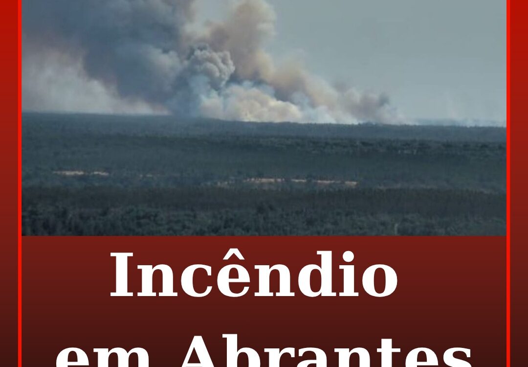 Incêndio em Abrantes