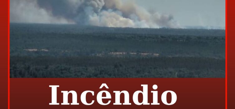 Incêndio em Abrantes