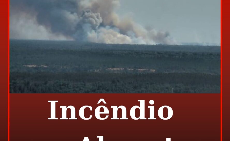 Incêndio em Abrantes