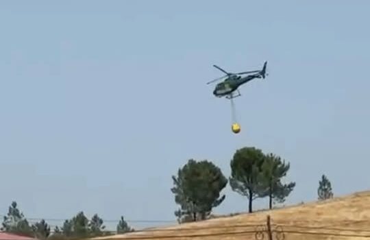 Incêndio em Castelo Branco