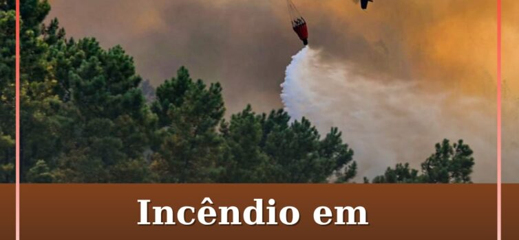 Incêndio em Idanha-a-Nova