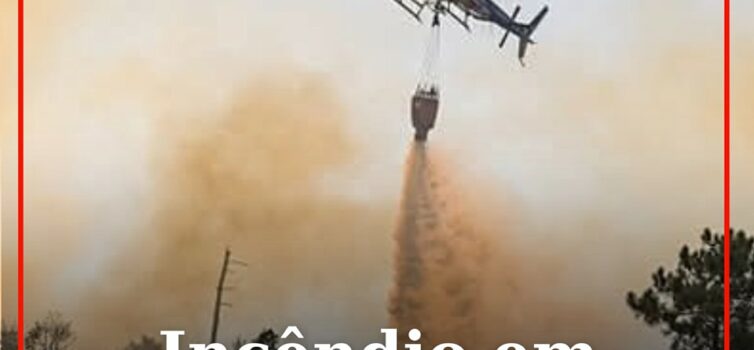 Incêndio em Monforte da Beira
