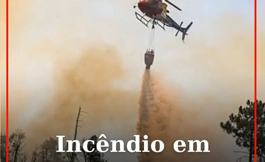 Incêndio em Monforte da Beira