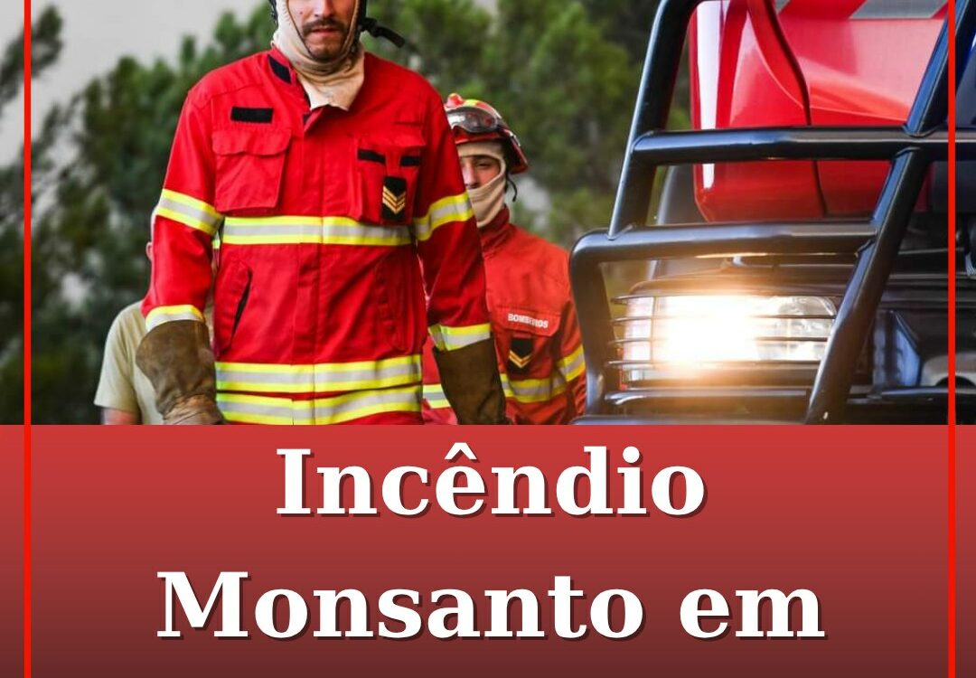 Incêndio em Monsanto em fase de conclusão