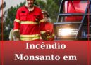 Incêndio em Monsanto em fase de conclusão