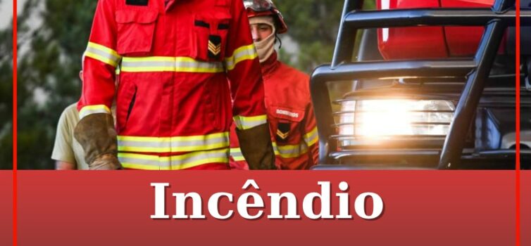 Incêndio em Monsanto em fase de conclusão