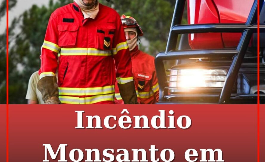 Incêndio em Monsanto em fase de conclusão