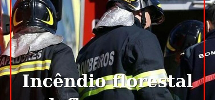 Incêndio florestal lavra em Tortosendo
