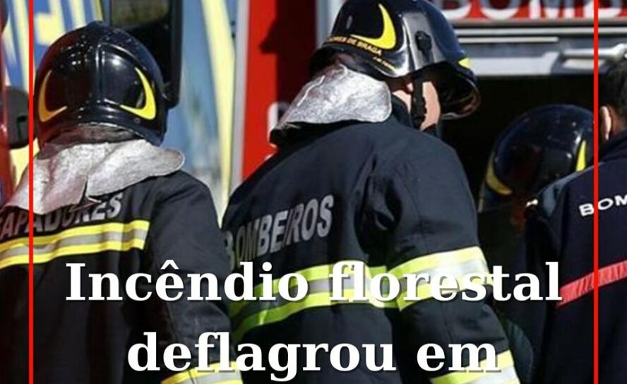 Incêndio florestal lavra em Tortosendo