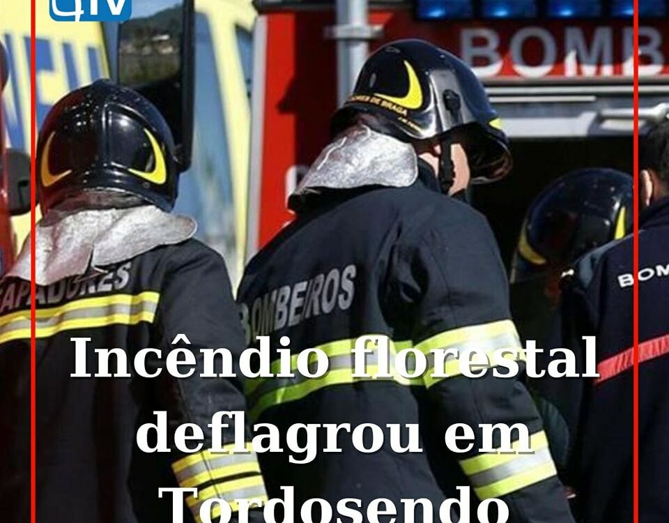 Incêndio florestal lavra em Tortosendo