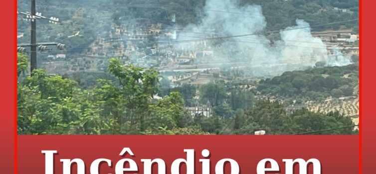 Incêndio mobiliza mais de 50 operacionais em Água de Prata