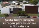 Projeto europeu “Thrive” valoriza floresta e construção sustentável