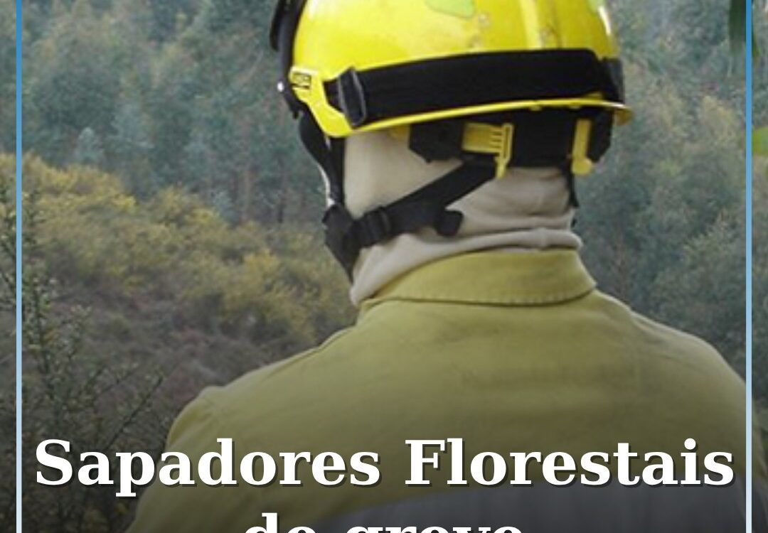 Sapadores Florestais em greve por tempo indeterminado em todo o país
