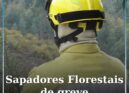 Sapadores Florestais em greve por tempo indeterminado em todo o país