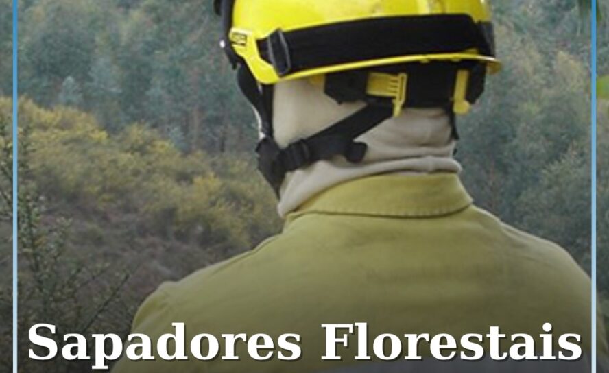 Sapadores Florestais em greve por tempo indeterminado em todo o país