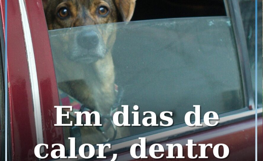 Temperaturas dentro de automóveis podem atingir os 70 °C