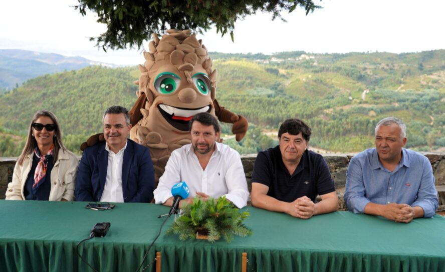 Oleiros