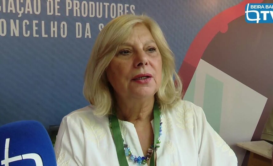 EM DIRETO: BEIRA BAIXA TV
