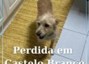 Castelo Branco