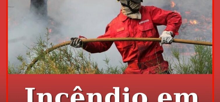 Incêndio em Penamacor